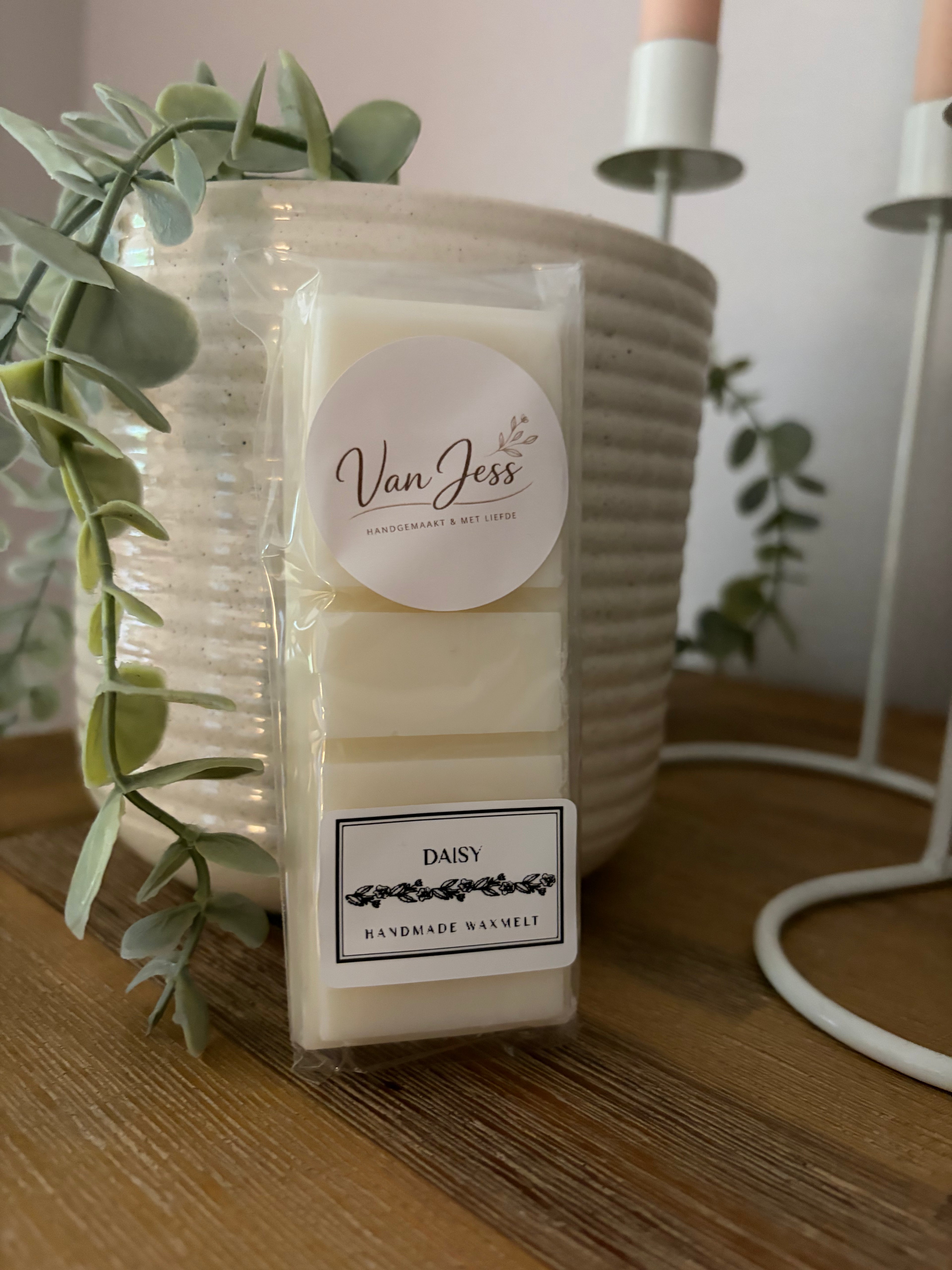 Waxmelts Daisy